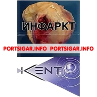 Сигареты Kent Purple