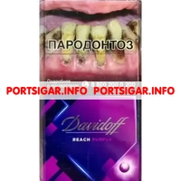 Сигареты Davidoff Reach Purple