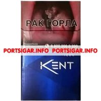 Сигареты Kent Icon