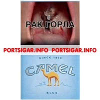 Сигареты Camel Blue