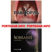 Сигареты Sobranie Evolve