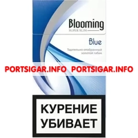 Сигареты Blooming Blue