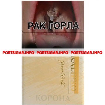 Сигареты Kalipso Special Gold