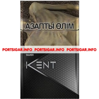 Сигареты Kent Nano Silver