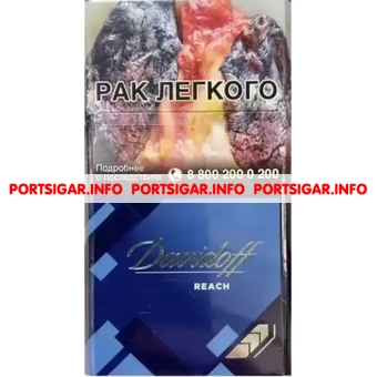 Сигареты Davidoff Reach Blue